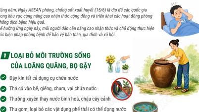 วันป้องกันไข้เลือดออกอาเซียน: 3 สิ่งที่ควรทำเพื่อป้องกันโรคอย่างมีประสิทธิภาพ
