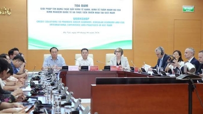 GIZ mendukung promosi kredit hijau menuju tujuan Net Zero.