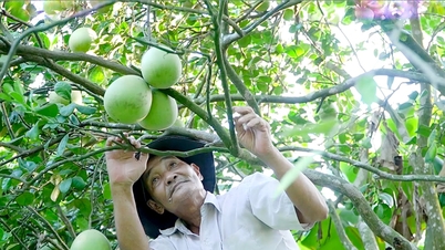 Xây dựng điểm đến hoàn chỉnh