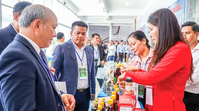 Promover o comércio transfronteiriço entre o Vietname, o Camboja e o Laos.