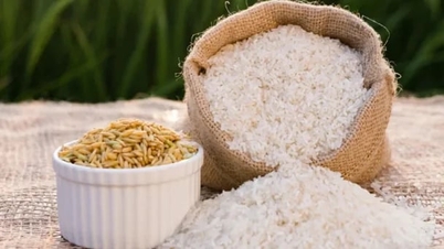 Harga beras hari ini, 15 Jun 2026: Harga kekal tidak berubah.