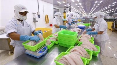 Can Tho aims to have approximately 300 new businesses established each year.