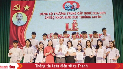 Nga Son focuses on the task of creating a pool of potential Party members.