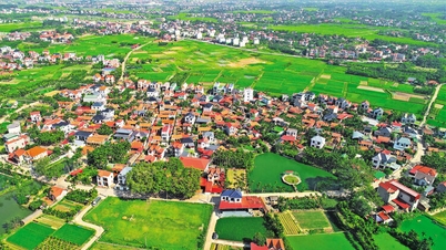 A village of violins in the countryside