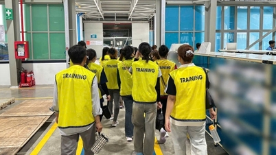 Cơ hội việc làm cho 2.000 lao động tại Cần Thơ