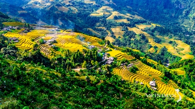 Mùa vàng đất Biên cương
