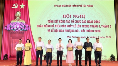 Các hoạt động chào mừng và Lễ hội Hoa Phượng Đỏ - Hải Phòng 2026 tạo dấu ấn đậm nét trong không gian phát triển mới của thành phố