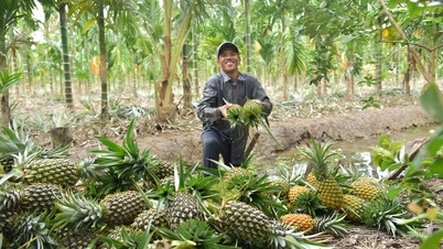 Los productos locales son abundantes y alcanzan buenos precios.