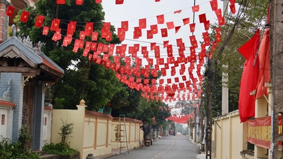 Phương án tổng thể sắp xếp, tổ chức lại các thôn, tổ dân phố trên địa bàn thành phố Hải Phòng
