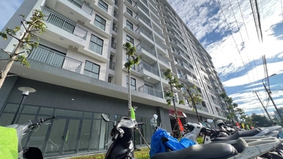 Le logement locatif devient un pilier, ouvrant la voie à l'accession à la propriété dans un contexte de flambée des prix de l'immobilier.