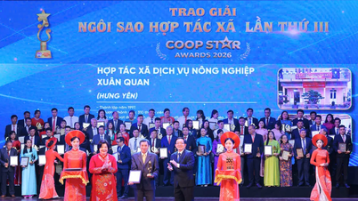 เรื่องราวสุดประทับใจของ "ดวงดาวแห่งความร่วมมือ"