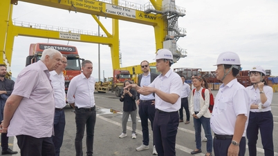 Een delegatie van Duitse bedrijven onderzoekt samenwerkingsmogelijkheden in de haven van Da Nang.