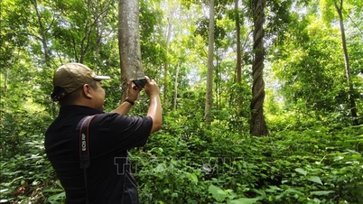Local people are effective ambassadors for promoting local tourism.