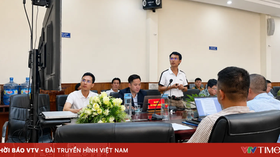 Departemen dan lembaga di provinsi Gia Lai, bersama dengan perusahaan-perusahaan besar, mengadakan pertemuan untuk membahas isu-isu pertanian utama.