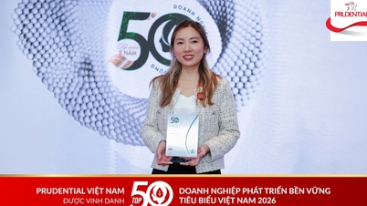 تم تكريم شركة برودنشال فيتنام ضمن أفضل 50 شركة للتنمية المستدامة لعام 2026، مما يؤكد دور التأمين في التنمية المستدامة المستقبلية.