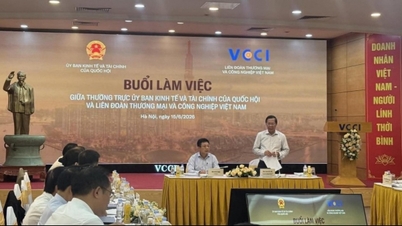 VCCI는 국회 경제재정위원회 상임위원회와 협력하여 민간 기업에 대한 '이중 압박'을 해소하기 위해 노력하고 있습니다.