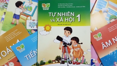 Từ trải nghiệm thực tiễn đến lựa chọn thống nhất