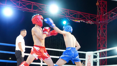 300 master dan atlet bela diri memanaskan arena kickboxing di Gia Lai.