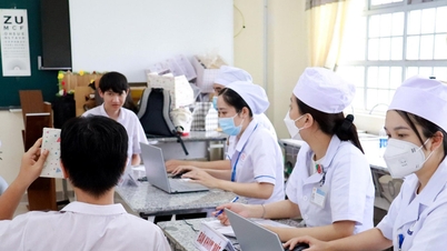 Lâm Đồng: Tạm dừng tuyển dụng 738 chỉ tiêu viên chức y tế