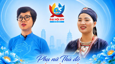 Mulai dari mata pencaharian hingga transformasi digital, perempuan di Hanoi mempercayakan harapan mereka kepada Kongres Perempuan Nasional ke-14.