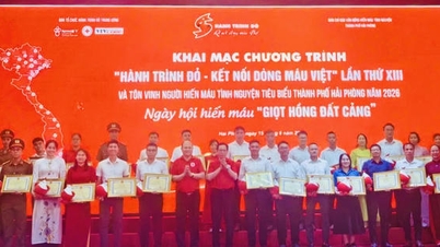 Hai Phong 322 példaértékű családot és egyént tüntet ki az önkéntes véradási mozgalomban.
