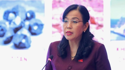 In welchem ​​Umfang kann Vietnam sich an den Projekten zur Hochgeschwindigkeitsstrecke Nord-Süd und zur Kernenergie beteiligen?