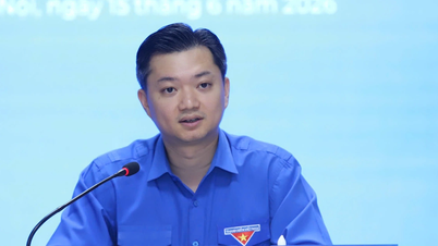청년연합대회는 앱을 통해 투표를 진행하며, 축하 꽃은 받지 않습니다.