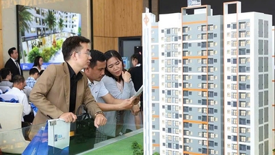 Tiền đổ vào thị trường nhà đất vượt mốc 'triệu tỉ' dù 5 tháng chỉ có 15 sổ hồng cấp lần đầu