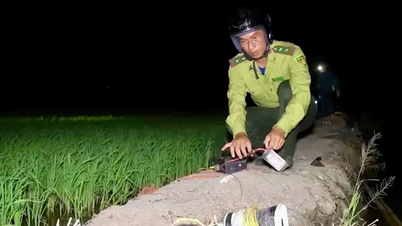 Provinsi Dong Thap meningkatkan patroli untuk mencegah perburuan ilegal burung liar.