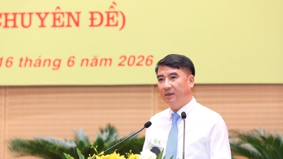 Hanoi: Vedtagelse og forfinelse af mekanismer og politikker i overensstemmelse med hovedstadsloven.