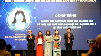 200 million VND will be awarded to the first prize winner of the Hue Ancient Capital Award for Science, Technology and Innovation.