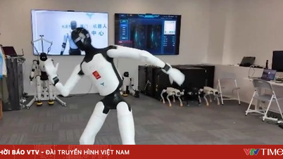 Humanoida robotar i Kina utökar sina tillämpningar inom många områden.