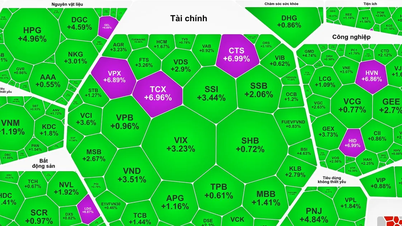 Die Kurse von Wertpapieren stiegen stark an, der VN-Index legte erneut zu.