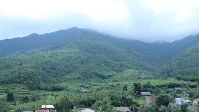 Se prevé que, tras la reorganización, la provincia de Cao Bang cuente con 914 aldeas y zonas residenciales.