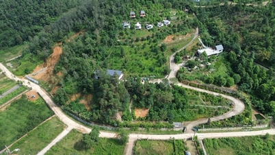 Hanoi mengeluarkan mekanisme baharu untuk melindungi hutan dan meluaskan ruang hijau.