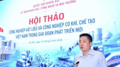 Hai Phong está decidida a reactivar su industria de construcción naval y encaminarla hacia el crecimiento.