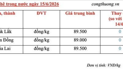 Giá cà phê hôm nay 15/6/2026: Tiếp tục neo cao
