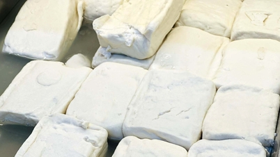 Účinky každodenní konzumace tofu na krevní tlak.