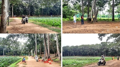 Tras la reorganización y fusión del barrio de Nguyet Hoa en la provincia de Vinh Long (anteriormente parte de la ciudad de Tra Vinh), ¿cuántos grupos residenciales quedarán?