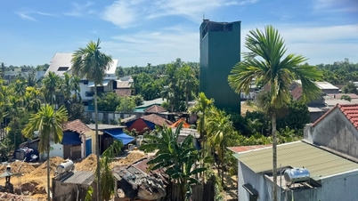 ແຂວງກວາງຫງາຍ ໄດ້ຫ້າມການລ້ຽງນົກນາງນວນຢ່າງສິ້ນເຊີງໃນສອງທ້ອງຖິ່ນ.