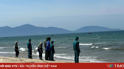 दा नांग: समुद्र में लापता रूसी पर्यटक की तलाश के लिए लगभग 100 लोग जुट गए हैं।
