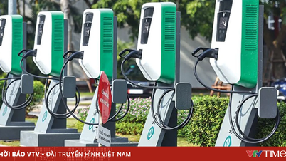 Hanói exige que os novos estacionamentos reservem pelo menos 30% de seu espaço para estações de carregamento.