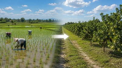 Sanksi bagi pihak yang secara sewenang-wenang mengubah lahan sawah menjadi lahan tanaman tahunan mulai tahun 2025.