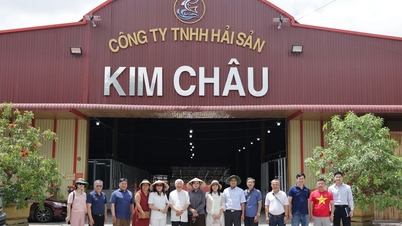 Hiệp hội Doanh nghiệp tỉnh Lâm Đồng thăm, làm việc với doanh nghiệp