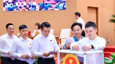 Hanoi stöder privata företag inom fem nyckelsektorer.