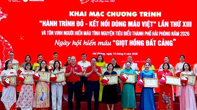 Hai Phong több száz példaértékű véradót és családot tisztel meg.