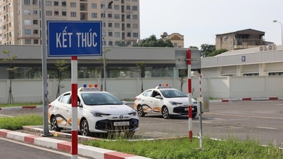 Com uma série de mudanças notáveis, será mais difícil obter uma carteira de motorista?