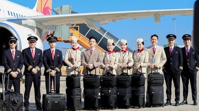 Sun PhuQuoc Airways werft 1.000 stewardessen aan en biedt daarmee kansen aan kandidaten wereldwijd.