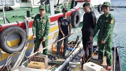 Quảng Ninh: Đồng bộ giải pháp, quyết tâm gỡ "thẻ vàng" IUU