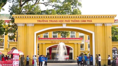 Quảng Ninh kỷ luật 3 giáo viên vụ giám thị bị tố hỗ trợ thí sinh xem bài thi